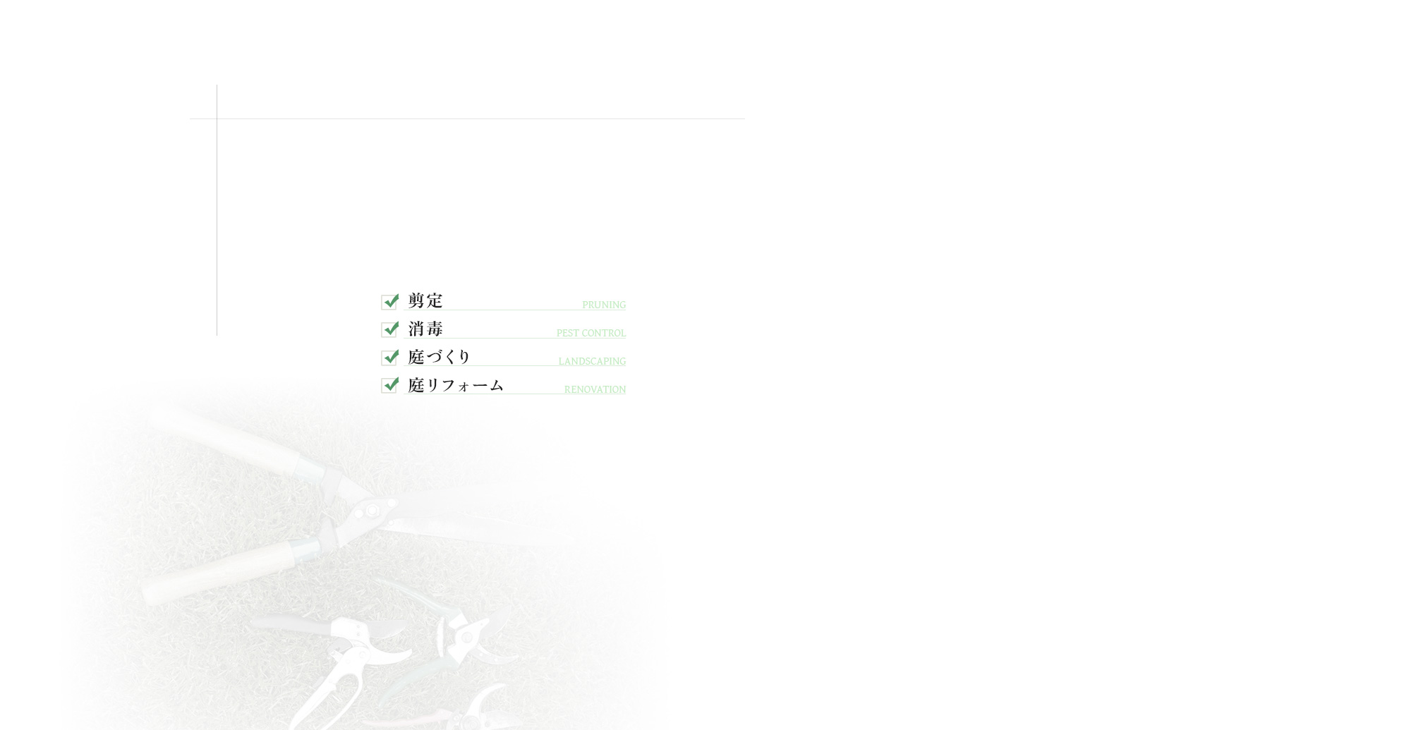 secondmain_bg
